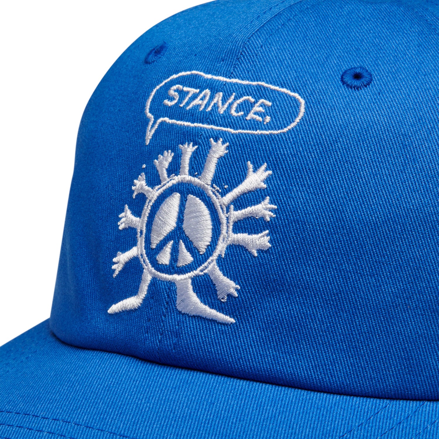Stance Standard Adjustable Cap Blau