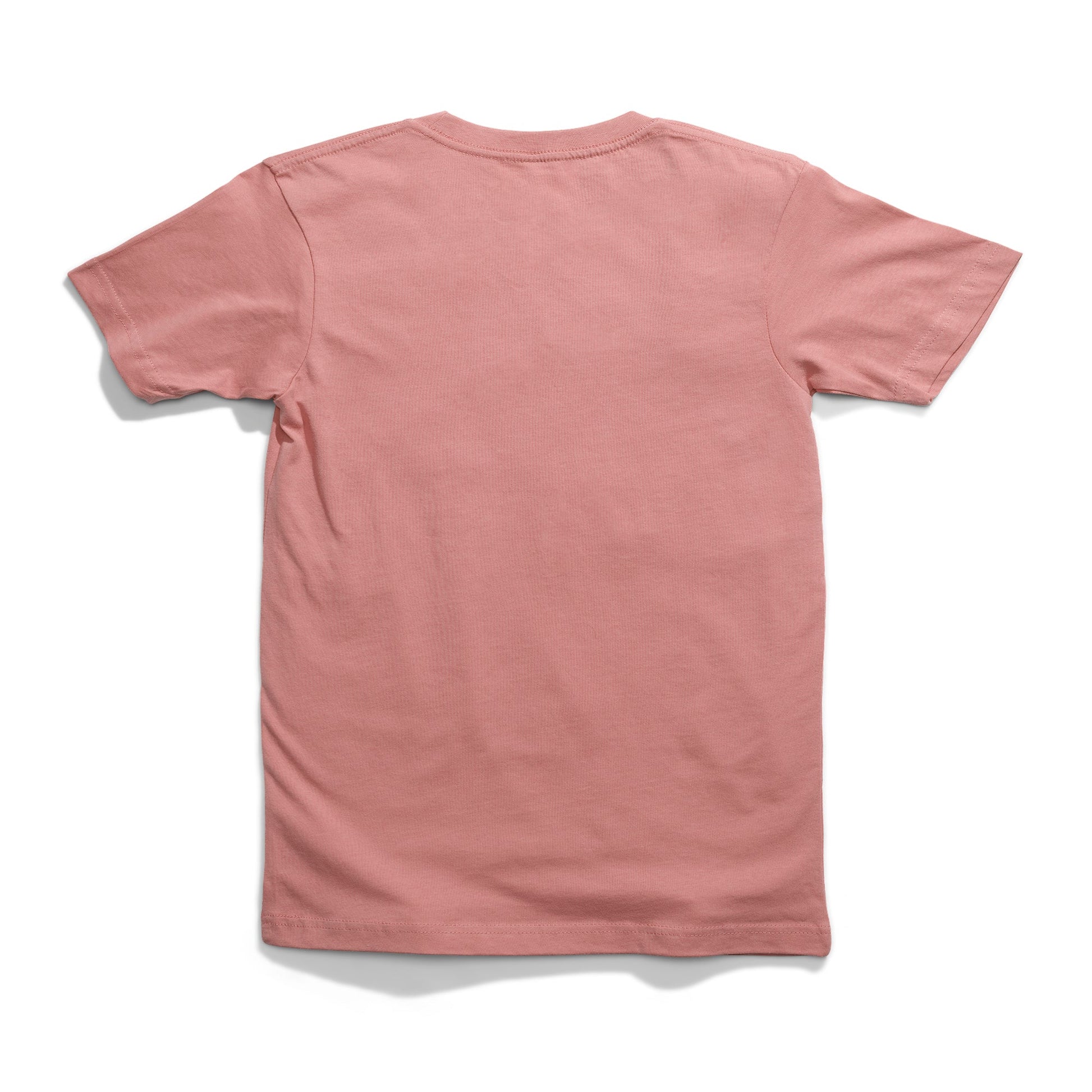 Stance Escondido T-Shirt Dusty Rose